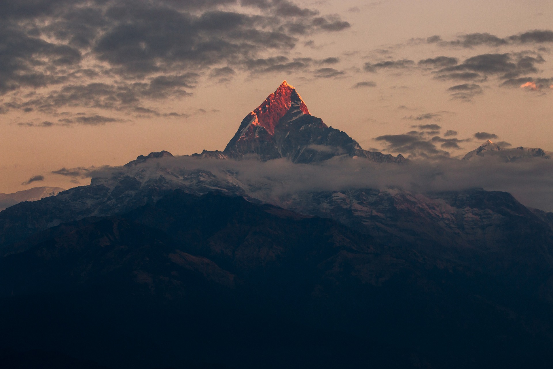 fishtail-2201465_1920