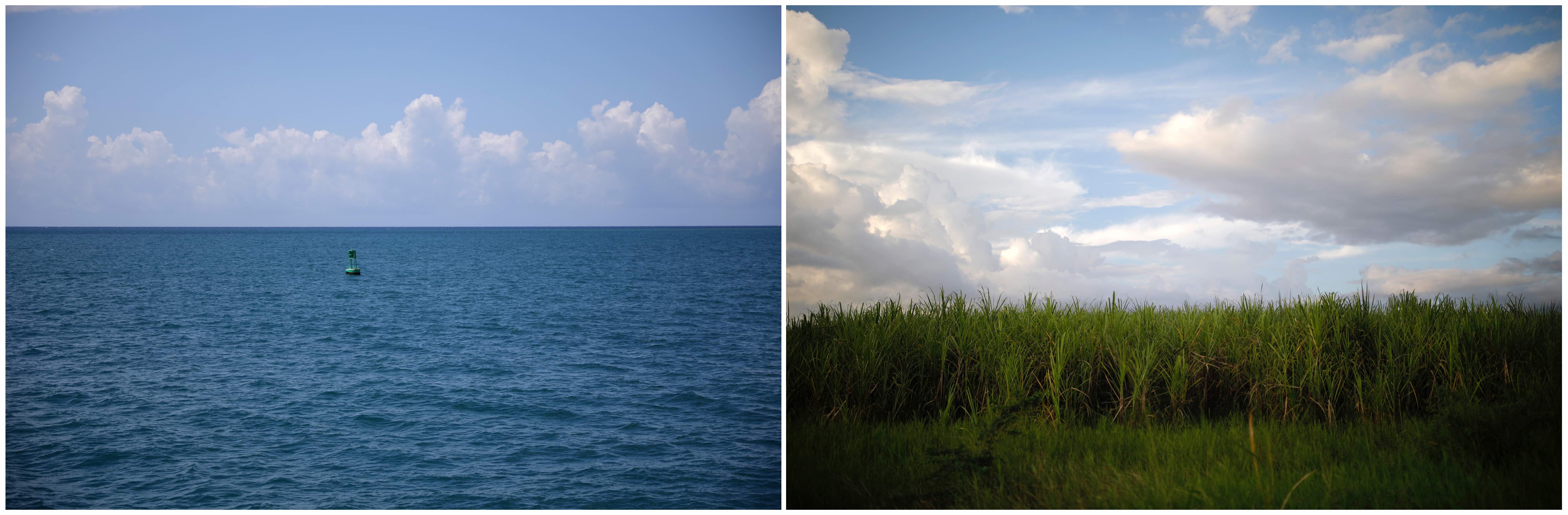 A combination picture shows a buoy near the US Naval Base in Guantanamo Bay, Cuba, June 2, 2017 (L) and a sugar cane field near the city of Guantanamo, Cuba, December 7, 2017. Credit: Reuters/Carlos Barria