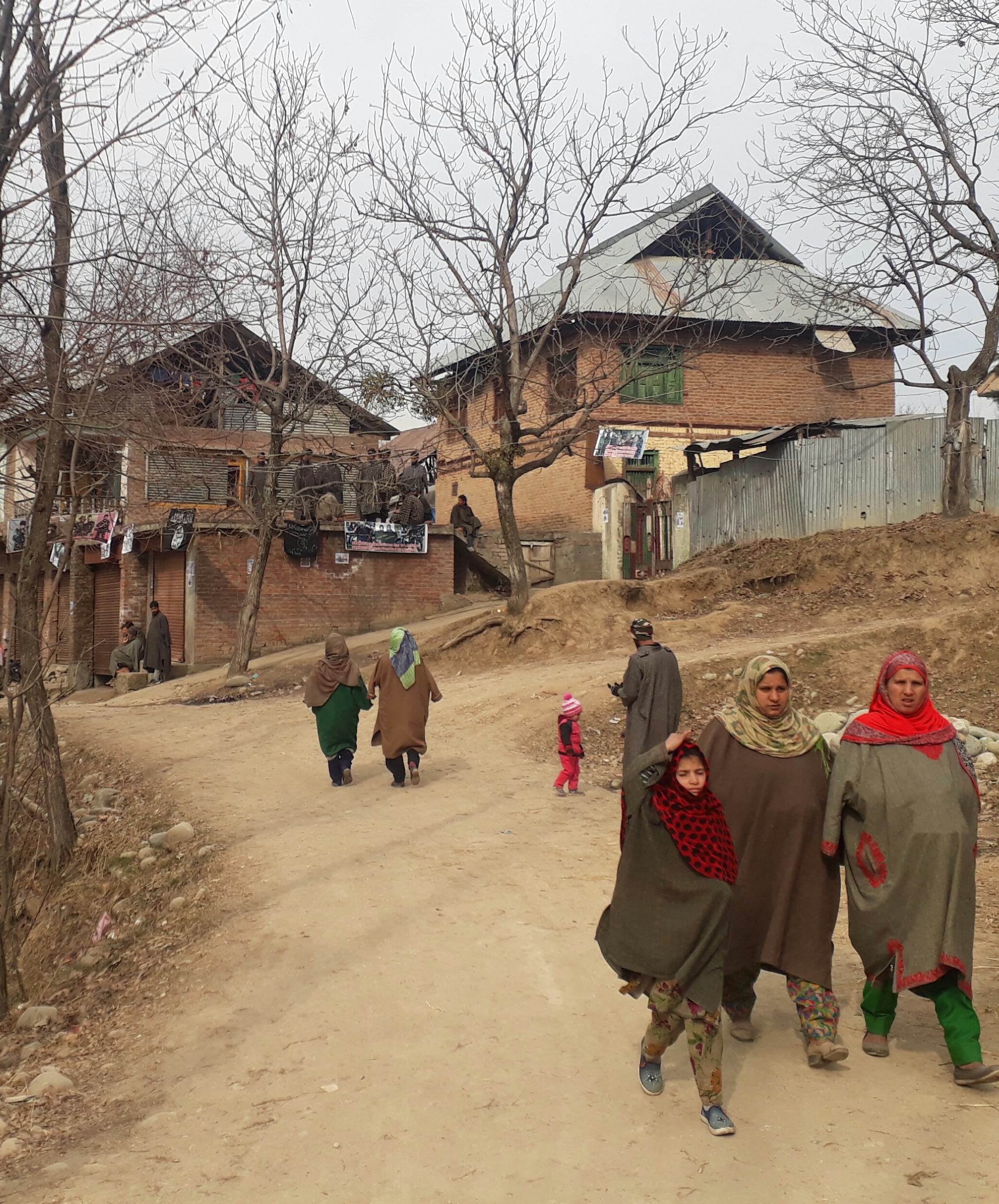 The entrance to Ganawpora village, with the houses of the Lone family and slain militant Firdous Ahmad in the background. Credit: Mudasir Ahmad