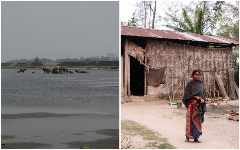 Assam-2