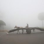 A man rides a donkey-drawn cart supplying steel rods on a smoggy morning in Lahore, Pakistan November 10, 2017. Credit: Reuters/Mohsin Raza