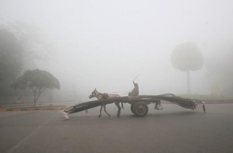 A man rides a donkey-drawn cart supplying steel rods on a smoggy morning in Lahore, Pakistan November 10, 2017. Credit: Reuters/Mohsin Raza