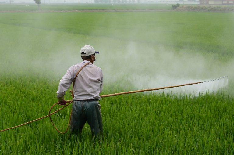 A farmer sprays pesticides. Representative image. Credit: wuzefe/pixabay