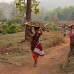 Santhal women carrying firewood in the buffer area of Simlipal Tiger Reserve, Odisha. Credit: Eleonora Fanari