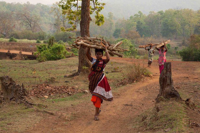 Santhal women carrying firewood in the buffer area of Simlipal Tiger Reserve, Odisha. Credit: Eleonora Fanari