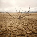 Dried-out branches are seen amongst caked mud at Theewaterskloof dam near Cape Town, South Africa in January, 2018. Credit: Reuters/Mike Hutchings/Files
