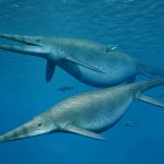 Shonisaurus, a giant ichthyosaur is pictured in this handout reconstruction image A jawbone from a giant ichthyosaur similar to this species was found on an English beach. Credit: Nobumichi Tamura/Handout via Reuters