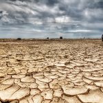 Landscarcity