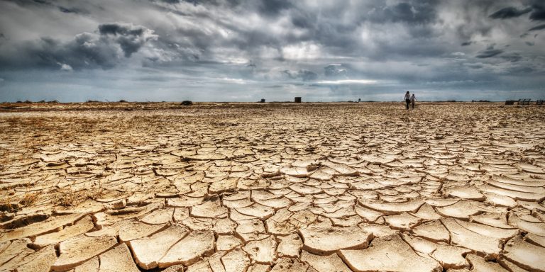 Landscarcity