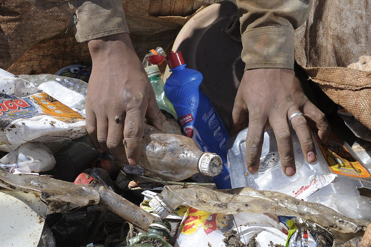 The Wire The Wire News India, Latest News,News from India, Politics