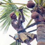 Palmyra1