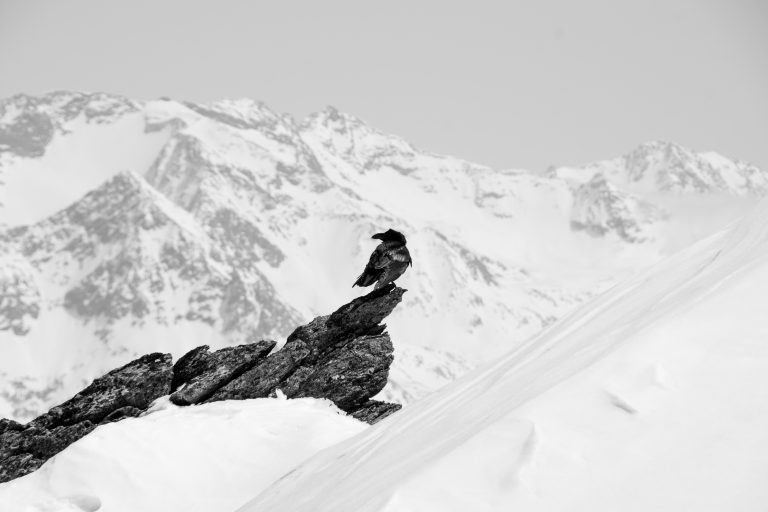chris-slupski-623746-unsplash