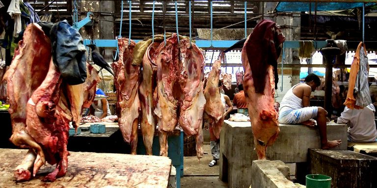 1280px-India_-_Kolkata_Hogg_market_-_3396