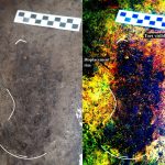 One of the footprints found on Calvert Island, found to be ~13,000 years old. Credit: Duncan McLaren