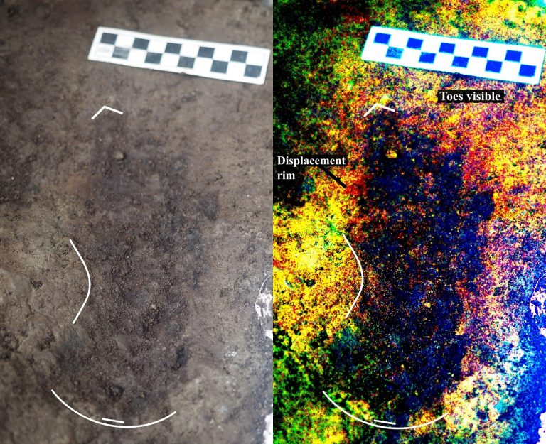 One of the footprints found on Calvert Island, found to be ~13,000 years old. Credit: Duncan McLaren