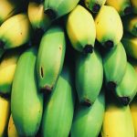 gmo