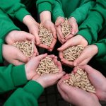 3-Biomass-photo-five-hands-of-pellets