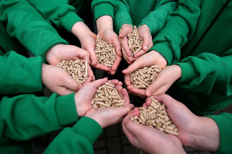 3-Biomass-photo-five-hands-of-pellets