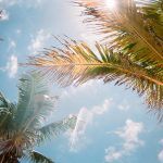 Global warming. Credit: Jorge Vasconez/Unsplash