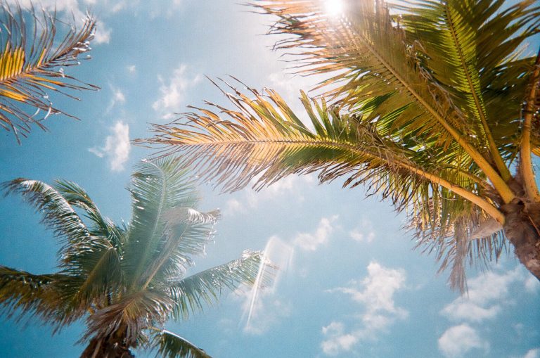 Global warming. Credit: Jorge Vasconez/Unsplash