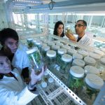 Men and women working with plants in a lab. Credit: felixioncool/pixabay