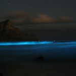 A blue tide caused by an abundance of noctilucent algae. Credit: Bruce Anderson (University of Stellenbosch), bmc_ecology/Flickr, CC BY 2.0