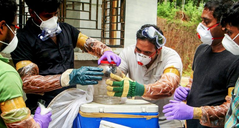 Kozhikode: Animal Husbandry department and forest officials collect bats from a well of a house after the outbreak of 'Nipah' virus, near Perambra in Kozhikode on Monday. The Nipah virus has so far claimed three lives in Kerala while one person is undergoing treatment and 8 others are under observation in Kozhikode district. Credit: PTI
