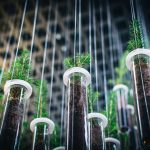 Biotech_Flickr-Viv-Lynch