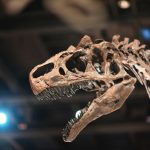 dinosaur-241962_1920