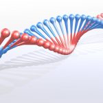 Representation of a helicoid strand of DNA. Credit: rafaelzajczewski/pixabay