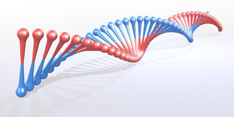 Representation of a helicoid strand of DNA. Credit: rafaelzajczewski/pixabay