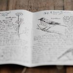 Like all crafts that have presented unique rewards to their practitioners, the hope is that young scientists will use the initial prompt to measure their own research against benefits to society to, in time, enjoy writing about human knowledge for its own sake. Credit: Annie Spratt/Unsplash