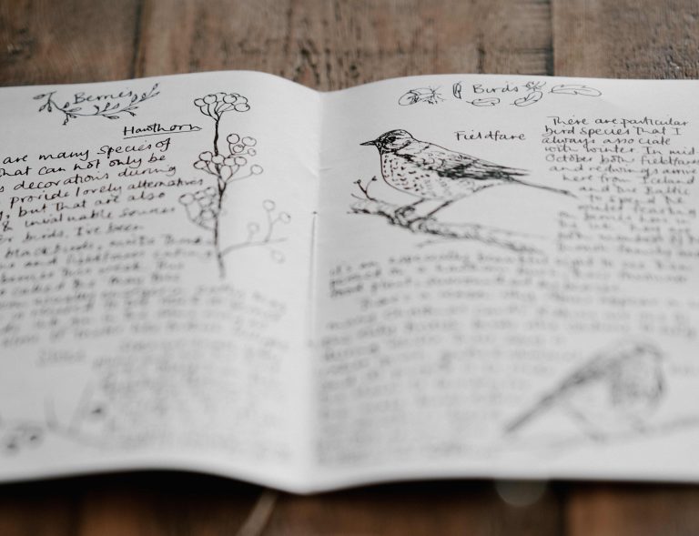 Like all crafts that have presented unique rewards to their practitioners, the hope is that young scientists will use the initial prompt to measure their own research against benefits to society to, in time, enjoy writing about human knowledge for its own sake. Credit: Annie Spratt/Unsplash