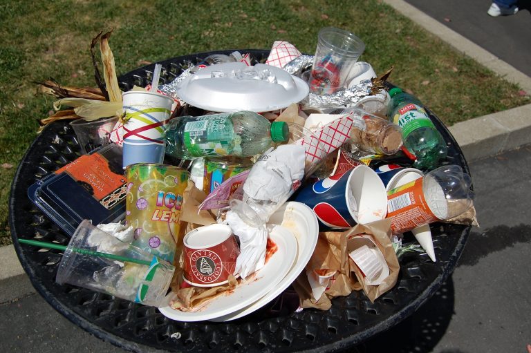 Single-use plastic items in a trash can. Credit: kevinkrejci/Flickr, CC BY 2.0