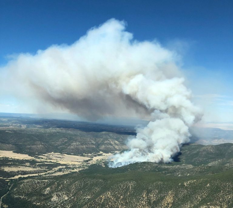 Smoke is seen from a fire in this aerial shot above Eagle Nest, New Mexico, US, May 31, 2018 in this picture obtained from social media on June 2, 2018. Credit: Justin Hawkins/via Reuters