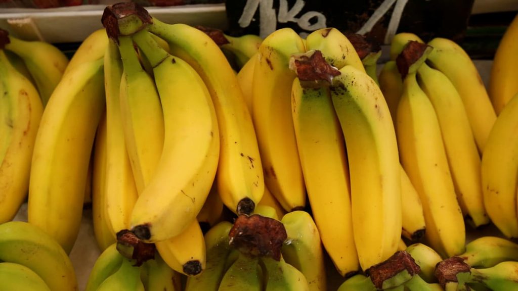 Bananas Have Died out Once Before Let’s Not Let It Happen Again The Wire Science