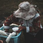 Women who eat less rice, proteins and fewer vegetables will be the worst-hit. Credit: Dương Trí/Unsplash