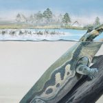 An artist’s impression of Tutusius at Waterloo Farm. Credit: Illustration by Maggie Newman