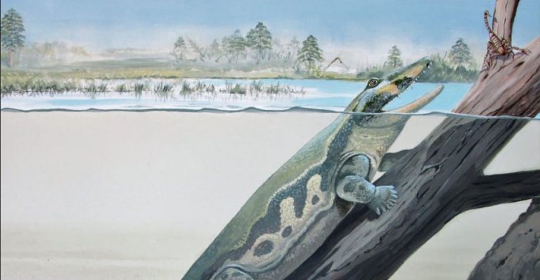 An artist’s impression of Tutusius at Waterloo Farm. Credit: Illustration by Maggie Newman