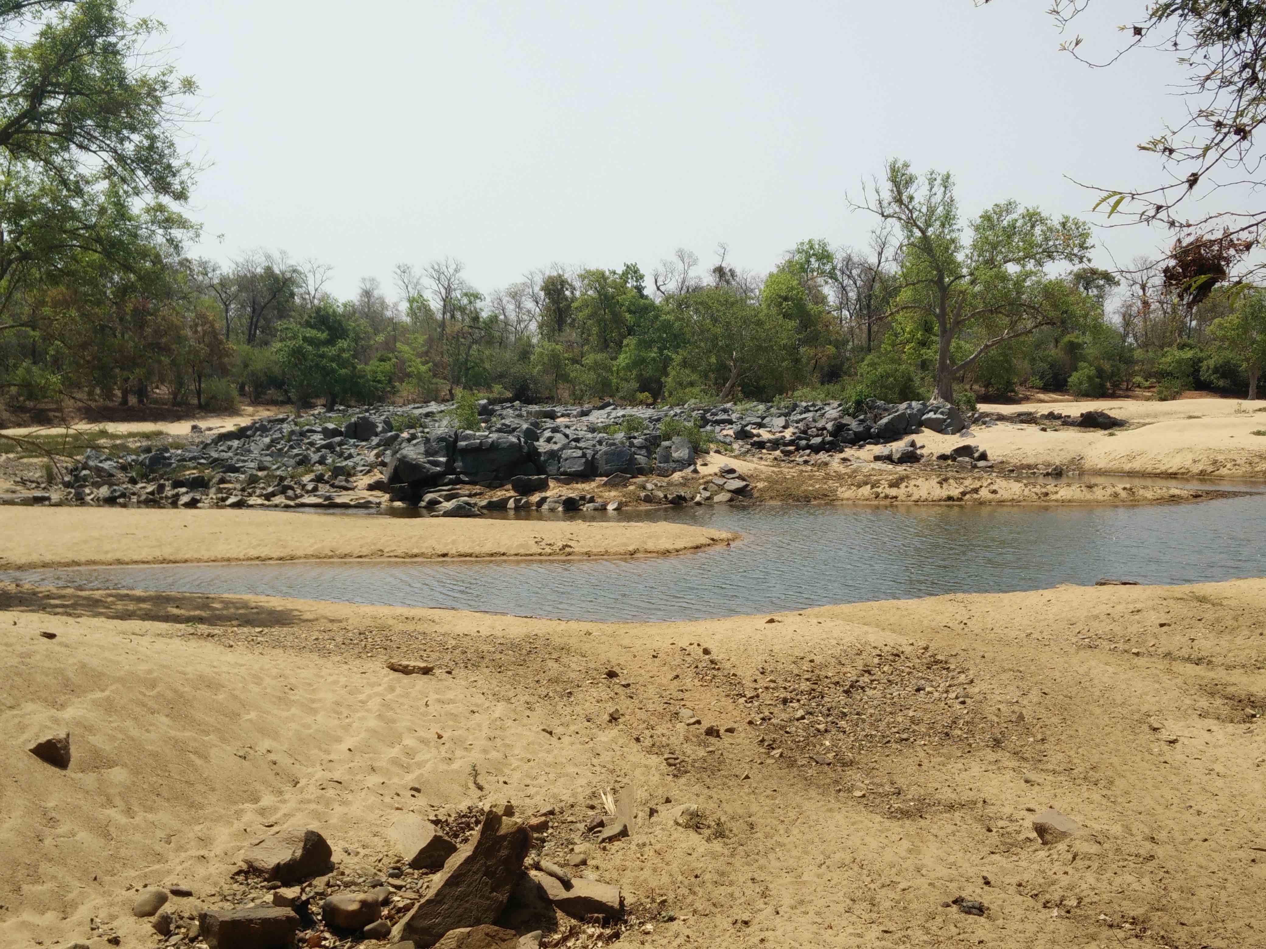 On April 22, 34 persons were killed in an ambush on the banks of Indravati river in Gadchiroli. The police claimed they were all Naxals and had taken shelter on the river bank. Credit: Sukanya Shantha