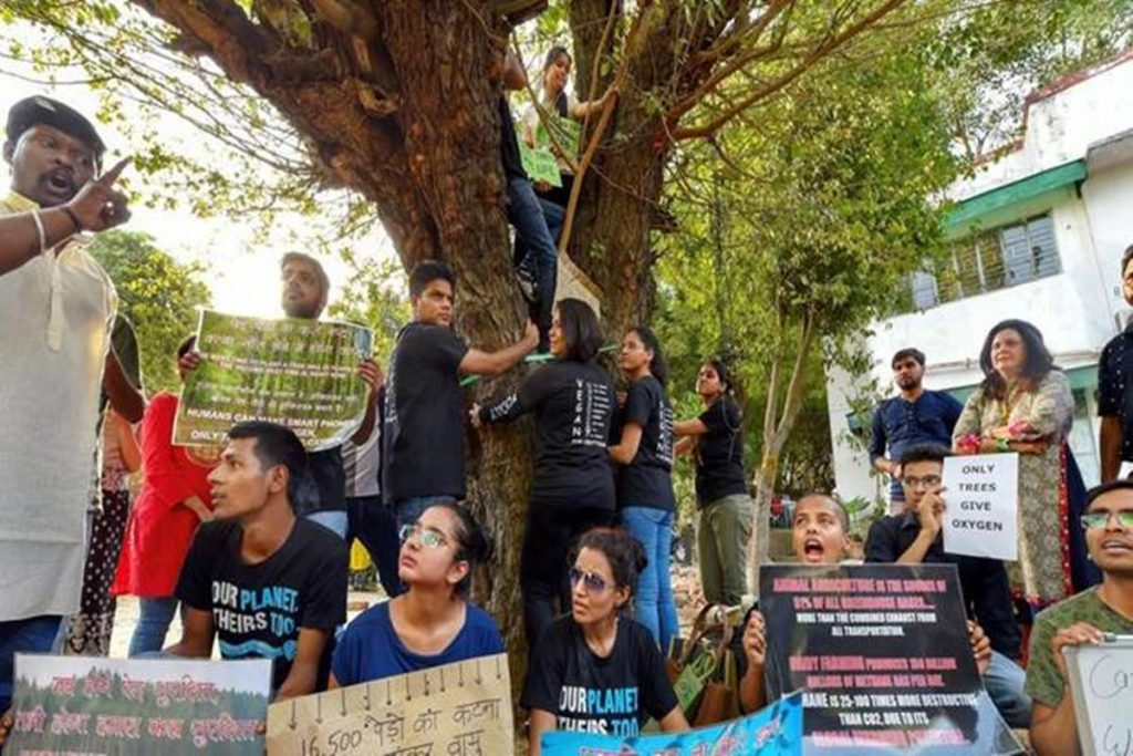 People gathered around a tree in Delhi to keep it from being cut. Credit: PTI
