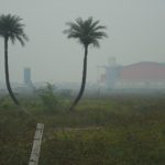 Two palm trees on a hazy Delhi day, with a metro station visible in the distance. Credit: felixdance/Flickr, CC BY 2.0