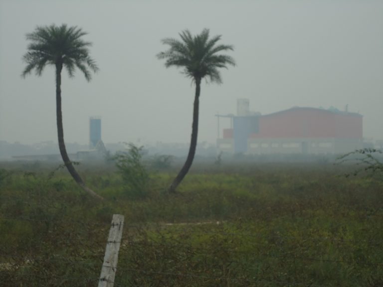 Two palm trees on a hazy Delhi day, with a metro station visible in the distance. Credit: felixdance/Flickr, CC BY 2.0