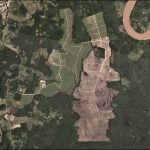 A oil palm plantation deforestation is seen from a satellite image in the northern Amazon region of San Martin, Peru. This is an undated handout photo provided by Matt Finer, obtained by Reuters June 21, 2018. Credit: Handout via Reuters