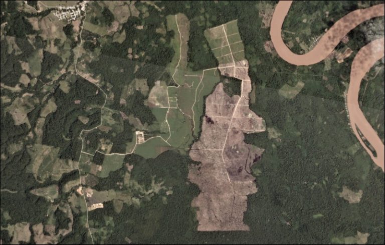 A oil palm plantation deforestation is seen from a satellite image in the northern Amazon region of San Martin, Peru. This is an undated handout photo provided by Matt Finer, obtained by Reuters June 21, 2018. Credit: Handout via Reuters