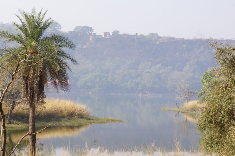 A scheme of ‘conserve and use’, if applied correctly, could allow the Aravalli forests to be sustained as a mineral water sanctuary. Credit: meandmyshadow/Flickr, CC BY 2.0