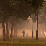 air pollution, Centre for science and environment, Delhi air pollution, diesel cars, diesel generators, Diwali, Diwali firecrackers, Diwali green crackers, Environment (Protection) Act 1986, Environment Pollution (Prevention and Control) Authority, EPCA, National Green Tribunal, per coke, Society for Indian Automobile Manufacturers, Sunita Narain