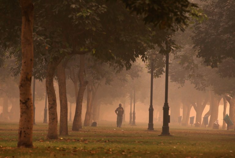 air pollution, Centre for science and environment, Delhi air pollution, diesel cars, diesel generators, Diwali, Diwali firecrackers, Diwali green crackers, Environment (Protection) Act 1986, Environment Pollution (Prevention and Control) Authority, EPCA, National Green Tribunal, per coke, Society for Indian Automobile Manufacturers, Sunita Narain