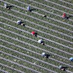 farm-labor