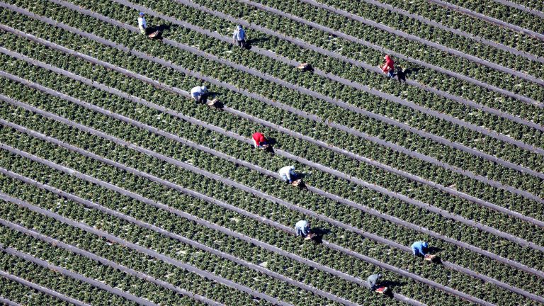 farm-labor